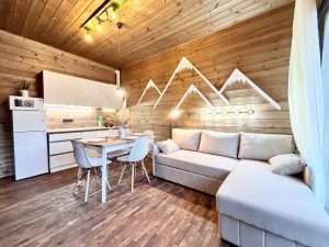 Кухня-гостиная