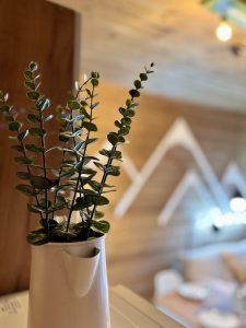 Кухня-гостиная