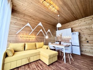 Кухня-гостиная