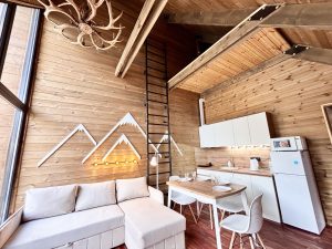 Кухня-гостиная