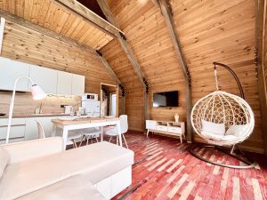 Кухня-гостиная